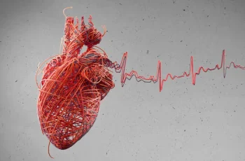 Oral Bacteria and Heart Attack Risk: New Insights into a Hidden Trigger