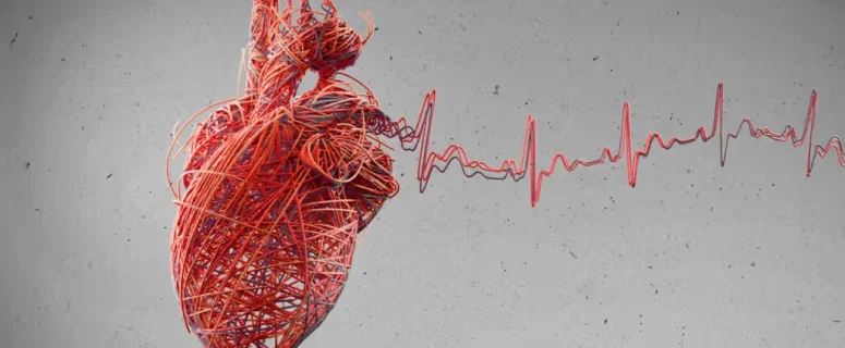 Oral Bacteria and Heart Attack Risk: New Insights into a Hidden Trigger